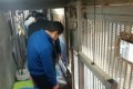 잇단 곰 탈출, 대전시 동물사육시설 긴급점검 …